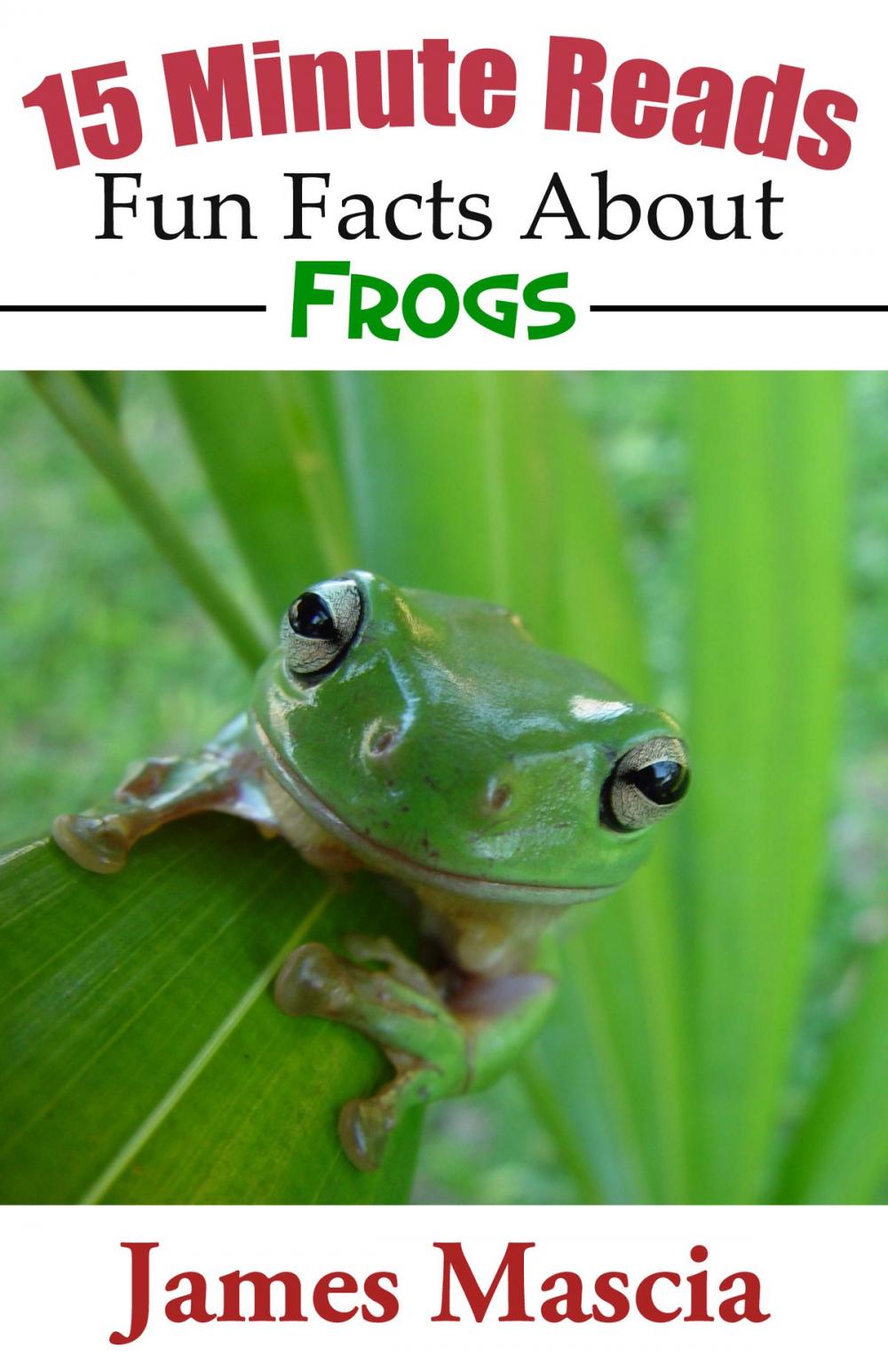 Big bigCover of 15 Minute Reads: Fun Facts About Frogs