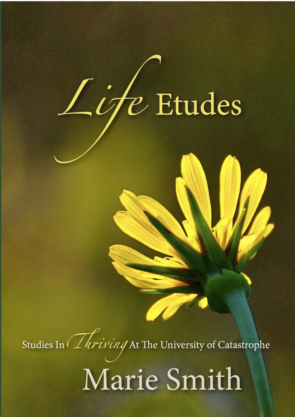 Big bigCover of Life Etudes: Studies In Thriving At The University of Catastrophe