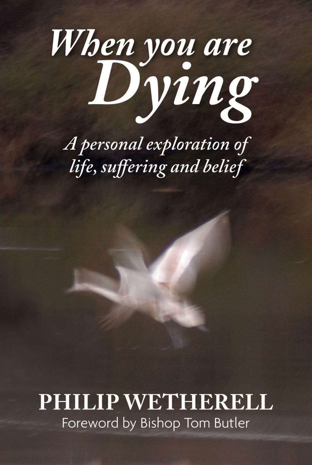 Big bigCover of When You Are Dying: A Personal Exploration of Life, Suffering, and Belief