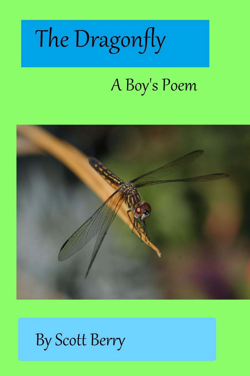 Big bigCover of The Dragonfly: A Boy's Poem