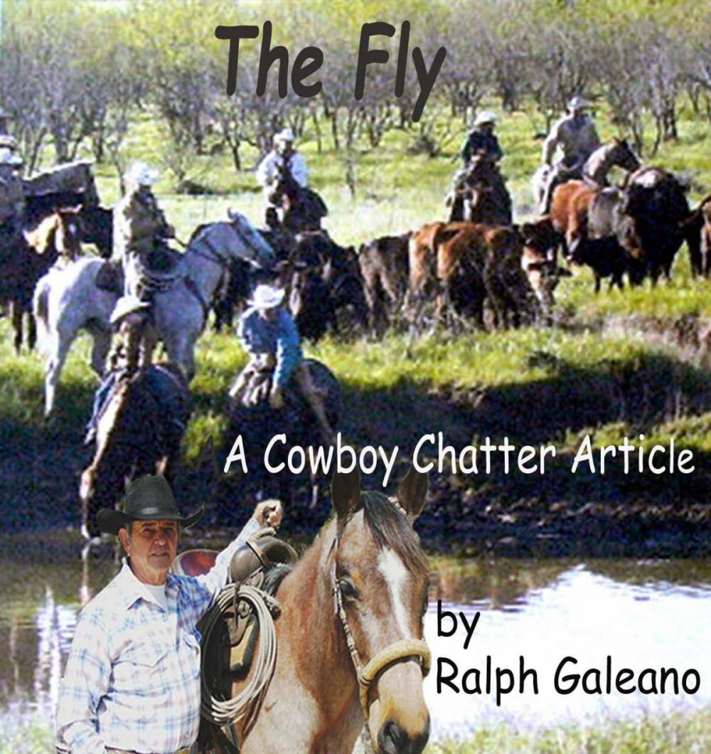 Big bigCover of Cowboy Chatter article: The Fly