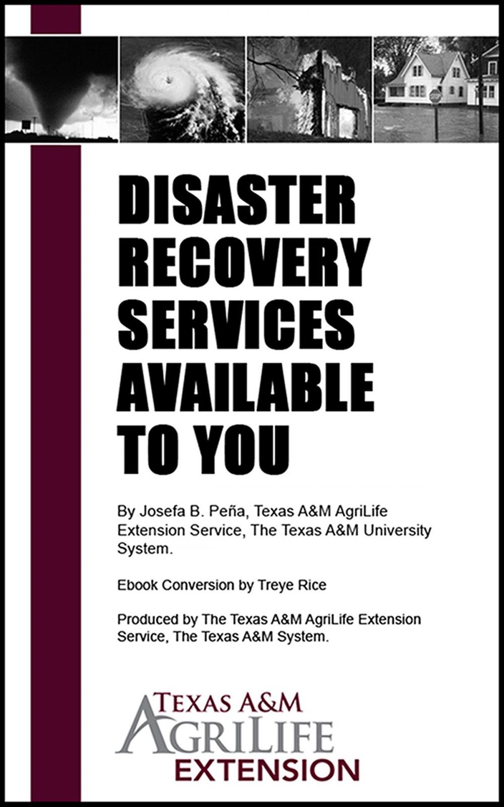 Big bigCover of Disaster Recovery Services Available to You