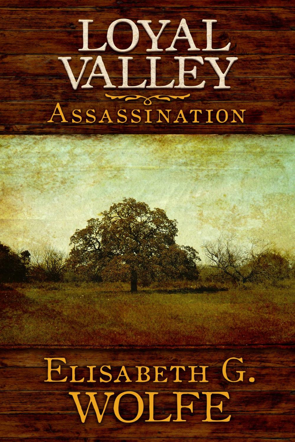 Big bigCover of Loyal Valley: Assassination