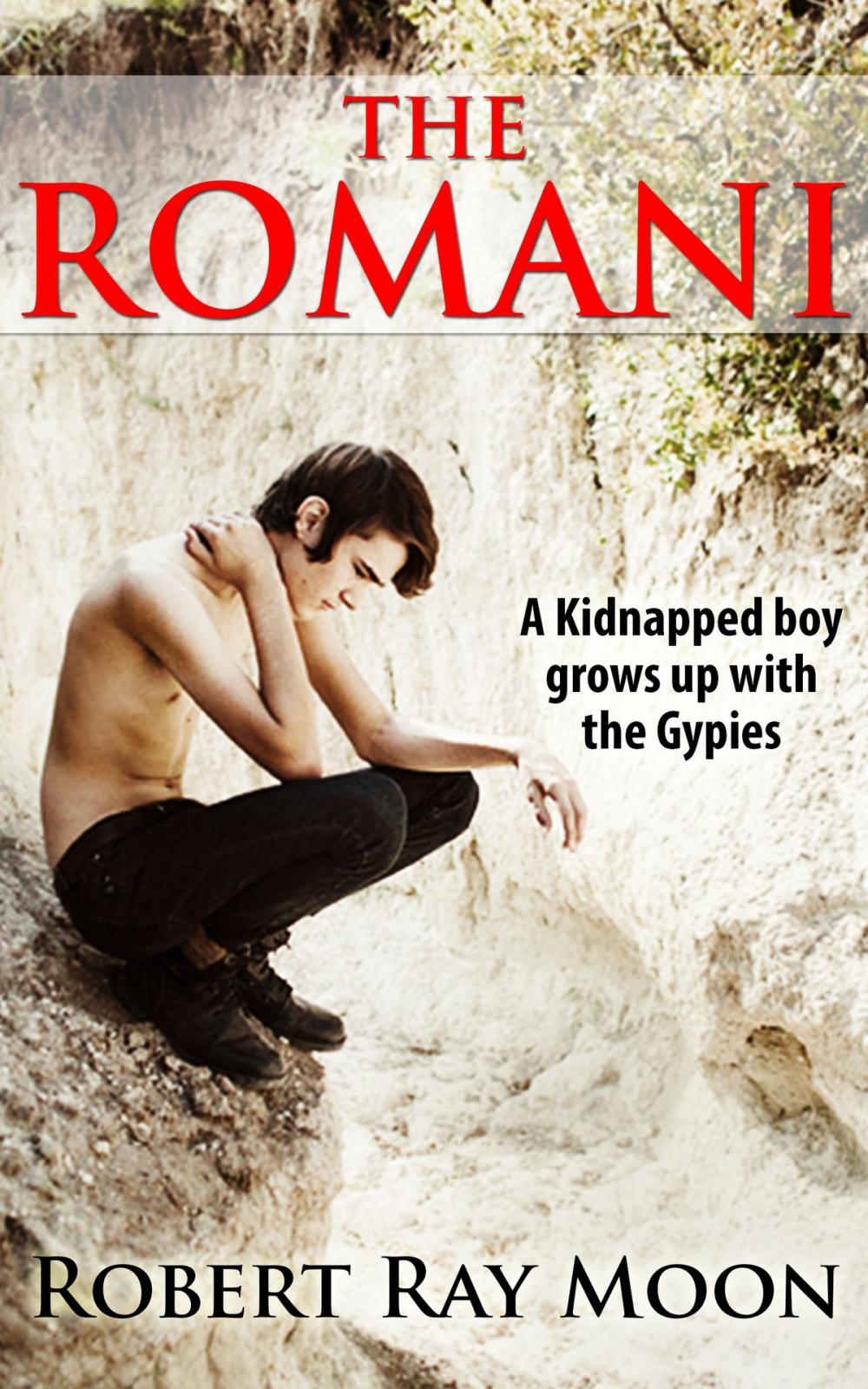 Big bigCover of The Romani