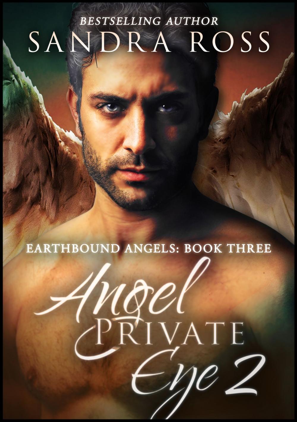 Big bigCover of A Hearth For the Weary: Angel Private Eye 2