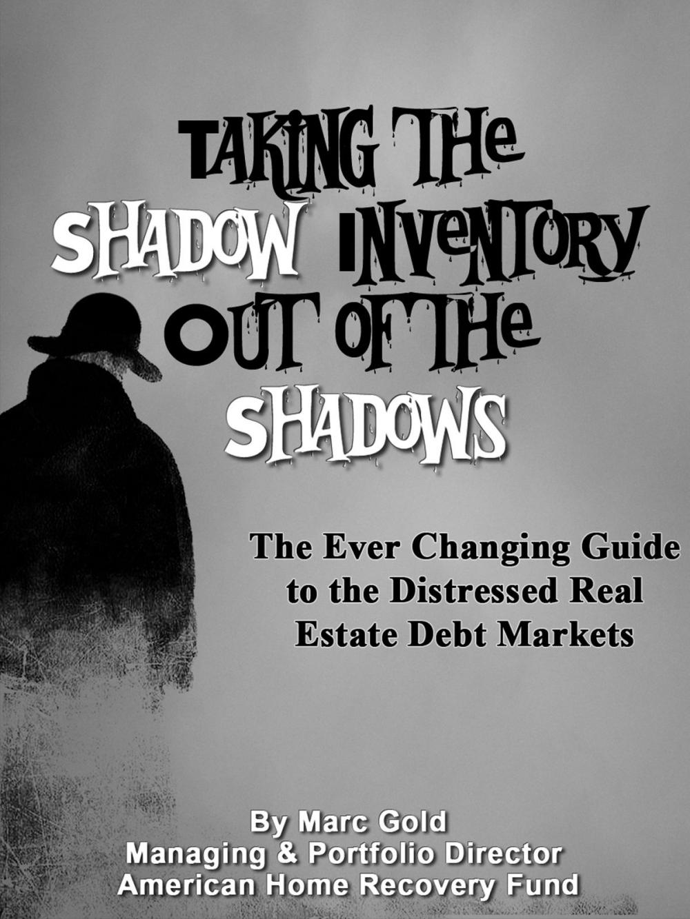 Big bigCover of Taking the Shadow Inventory out of the Shadows