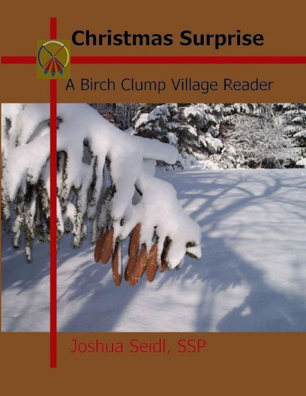 Big bigCover of Christmas Surprise: A Birch Clump Village Reader