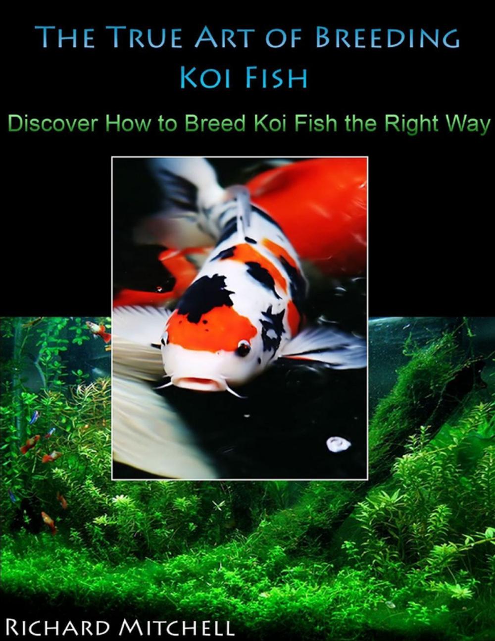 Big bigCover of The True Art of Breeding Koi Fish: Discover How to Breed Koi Fish the Right Way