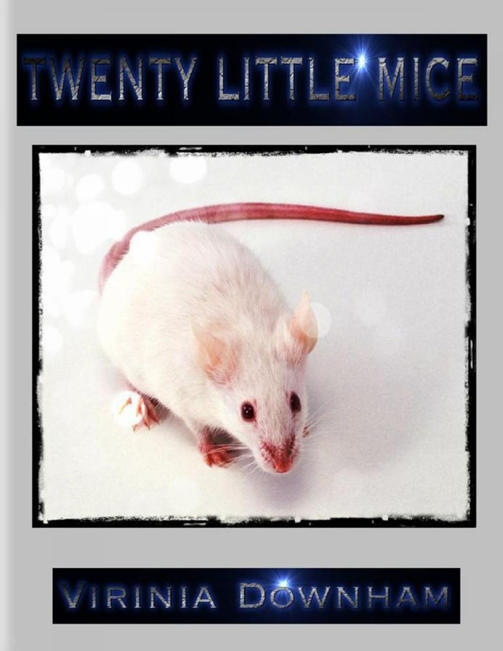 Big bigCover of Twenty Little Mice