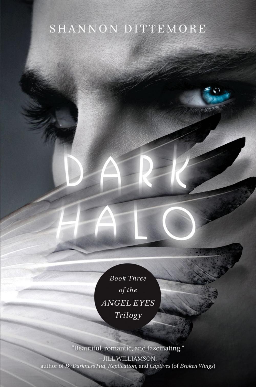 Big bigCover of Dark Halo