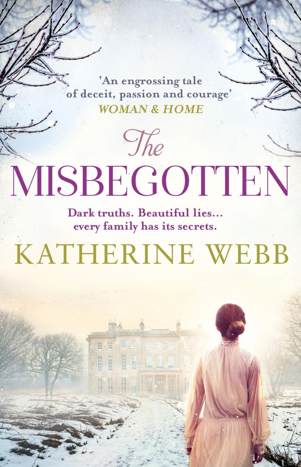 Big bigCover of The Misbegotten