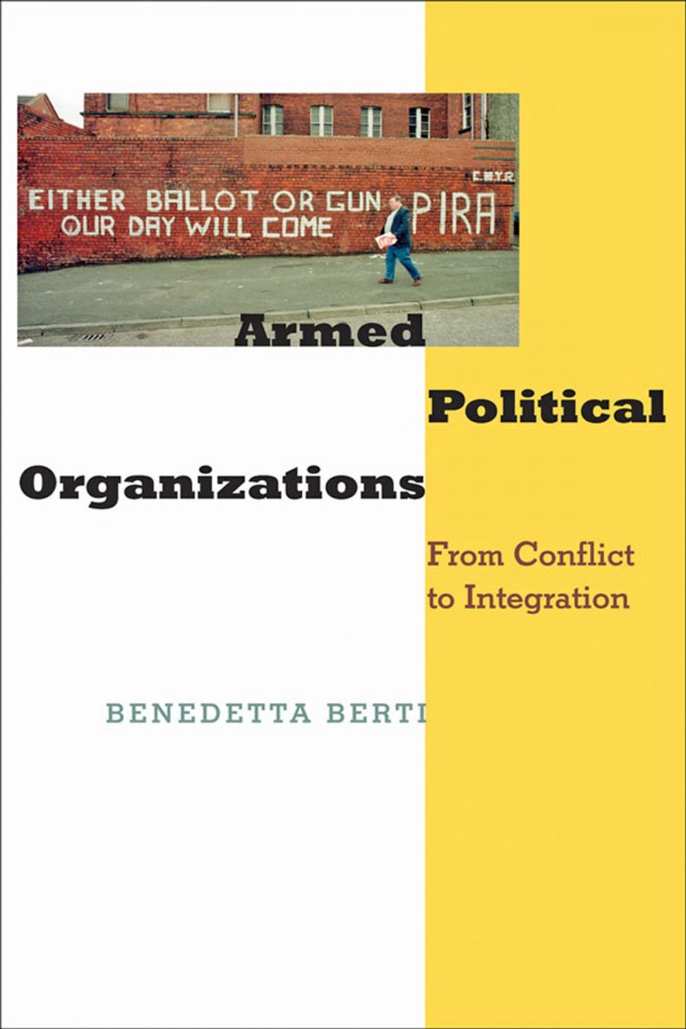 Big bigCover of Armed Political Organizations