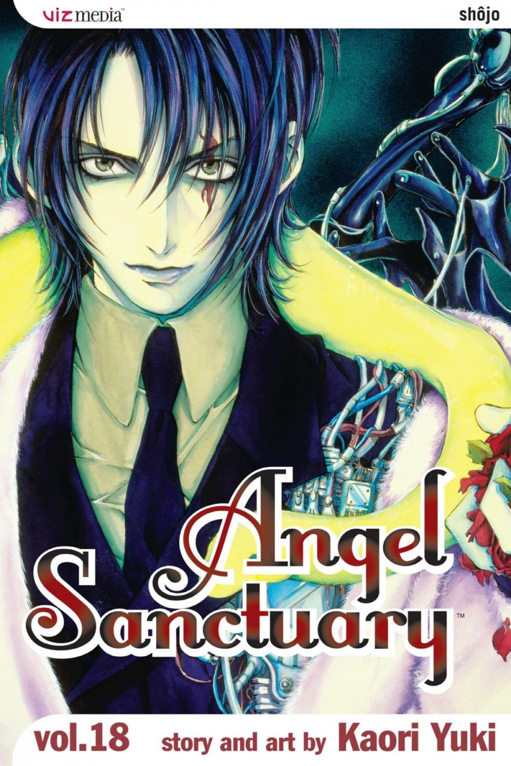 Big bigCover of Angel Sanctuary, Vol. 18