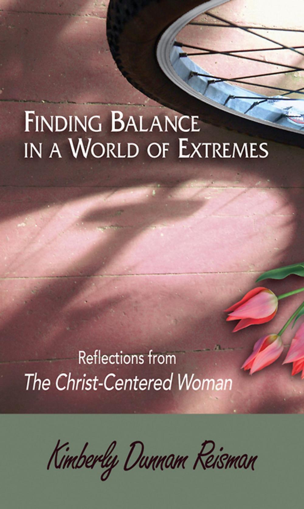 Big bigCover of Finding Balance in a World of Extremes Preview Book