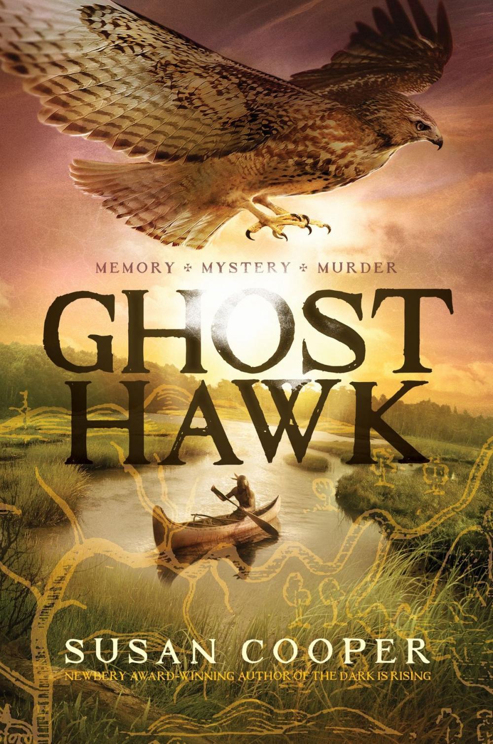 Big bigCover of Ghost Hawk