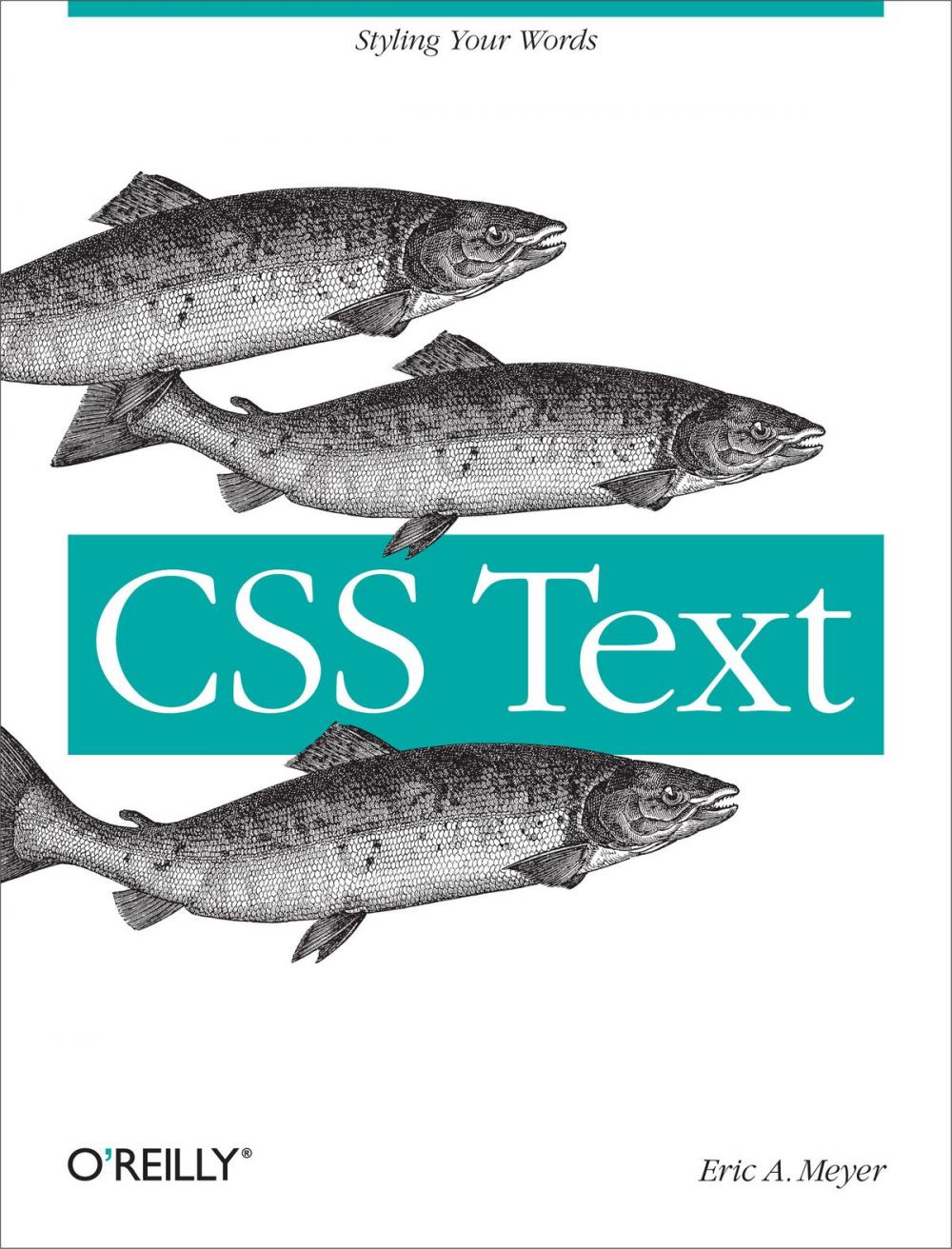 Big bigCover of CSS Text