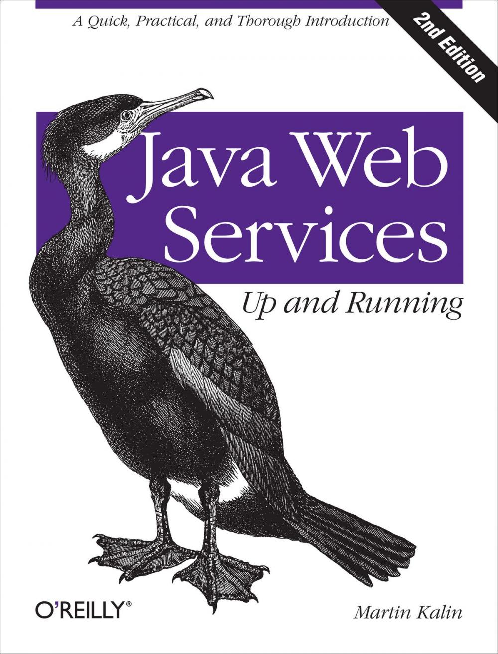 Big bigCover of Java Web Services: Up and Running