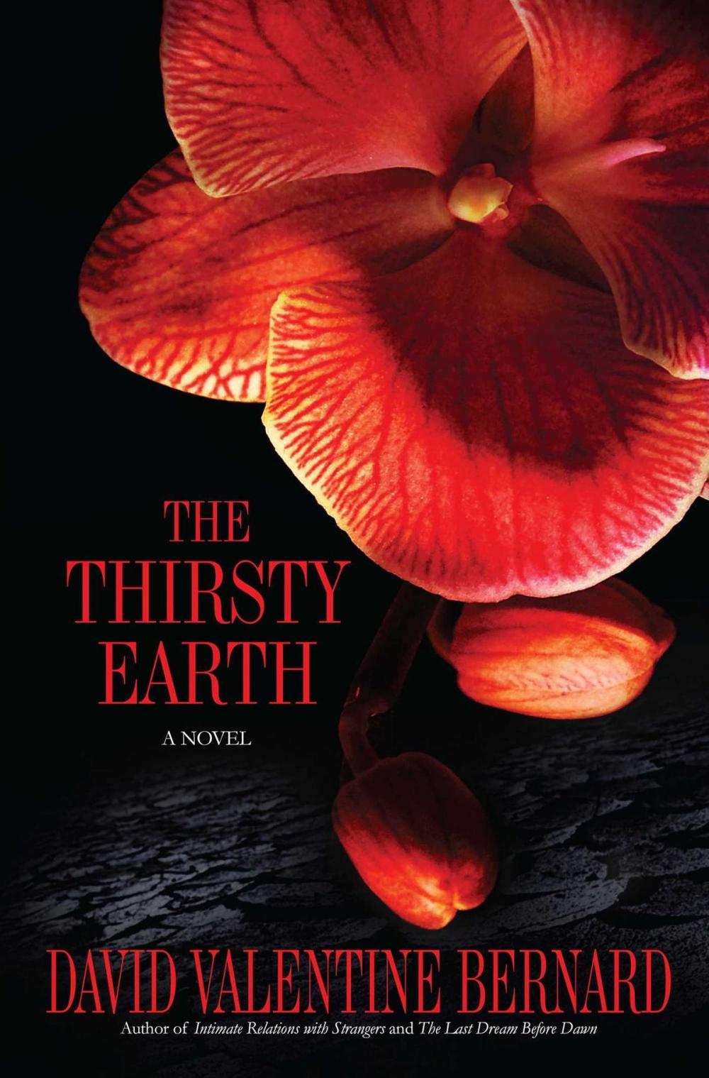 Big bigCover of The Thirsty Earth