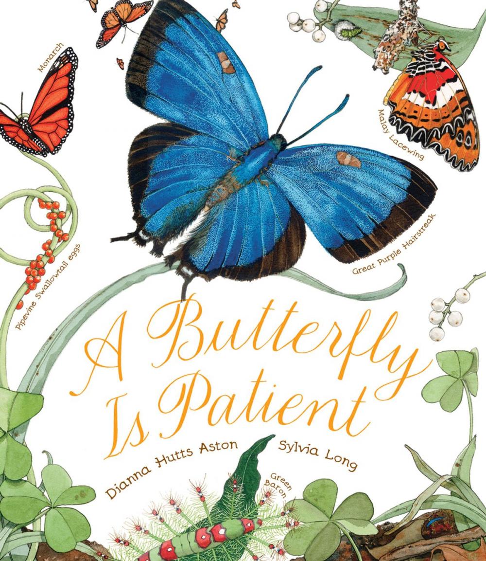 Big bigCover of A Butterfly Is Patient