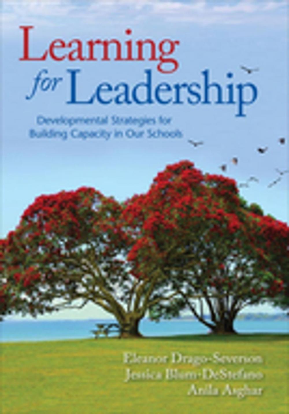 Big bigCover of Learning for Leadership