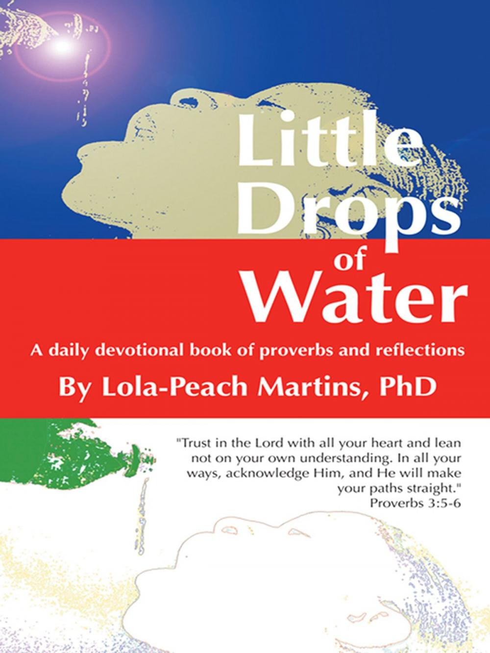 Big bigCover of Little Drops of Water