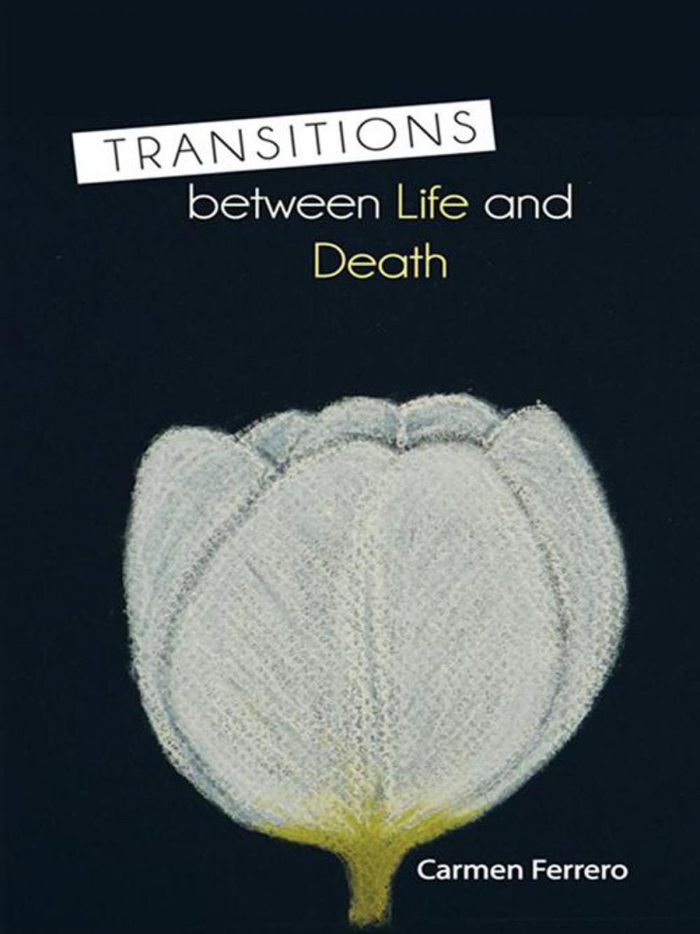 Big bigCover of Transitions Between Life and Death