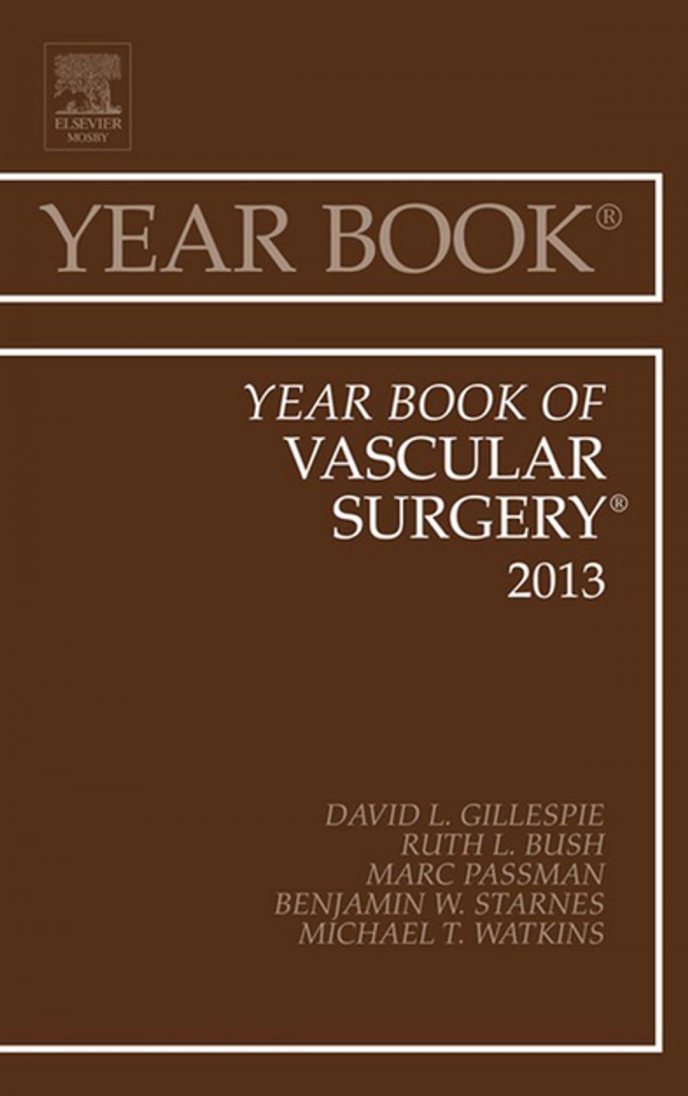 Big bigCover of Year Book of Vascular Surgery 2013, E-Book