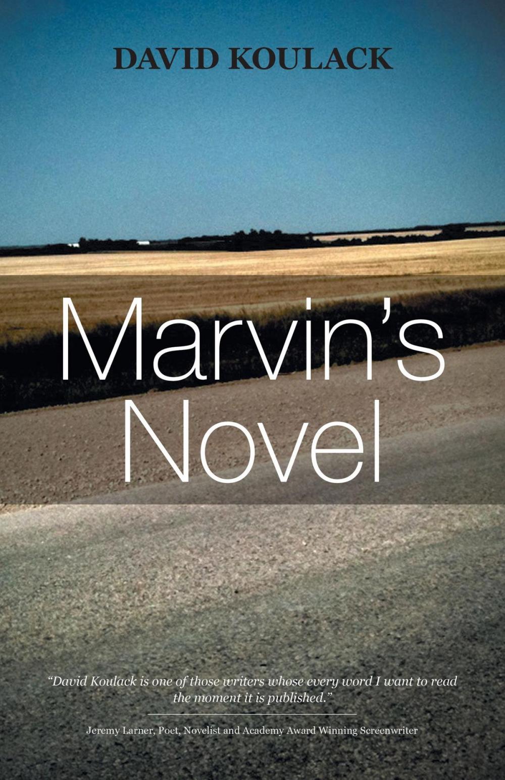 Big bigCover of Marvin's Novel