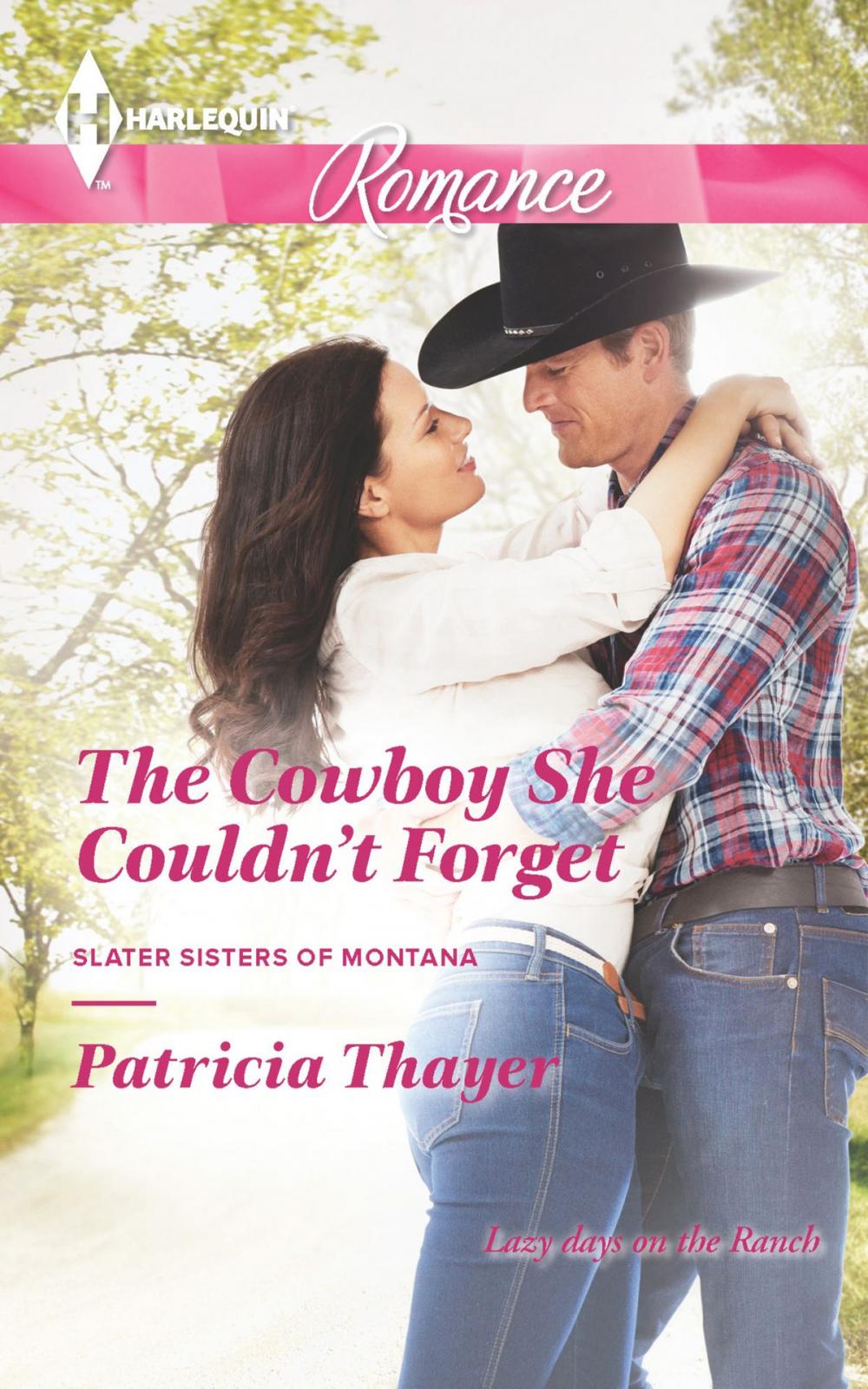 Big bigCover of The Cowboy She Couldn't Forget