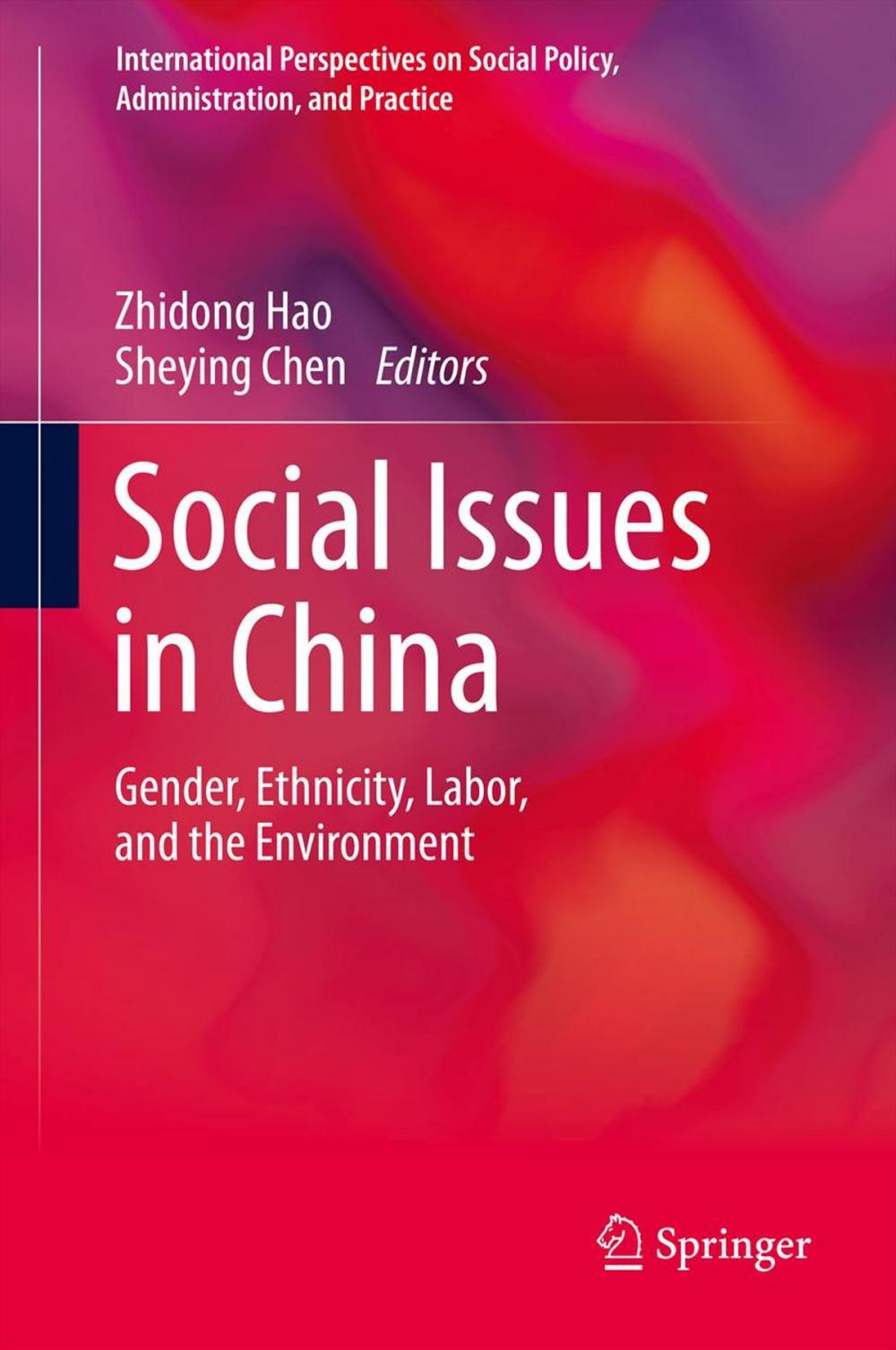 Big bigCover of Social Issues in China