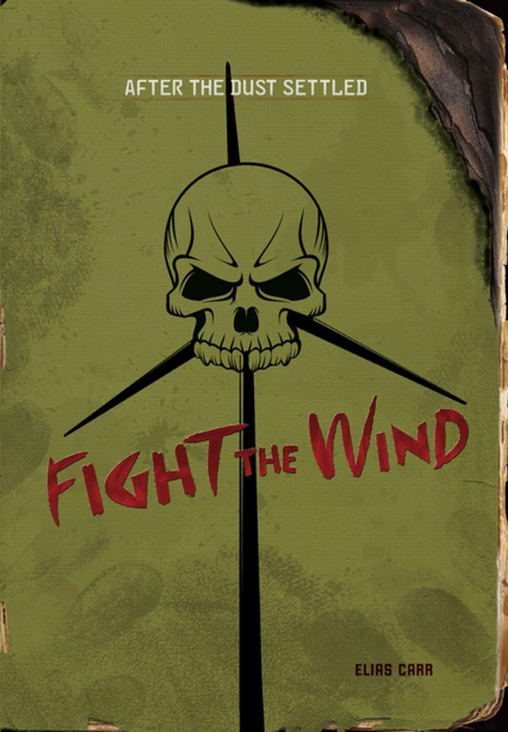 Big bigCover of Fight the Wind