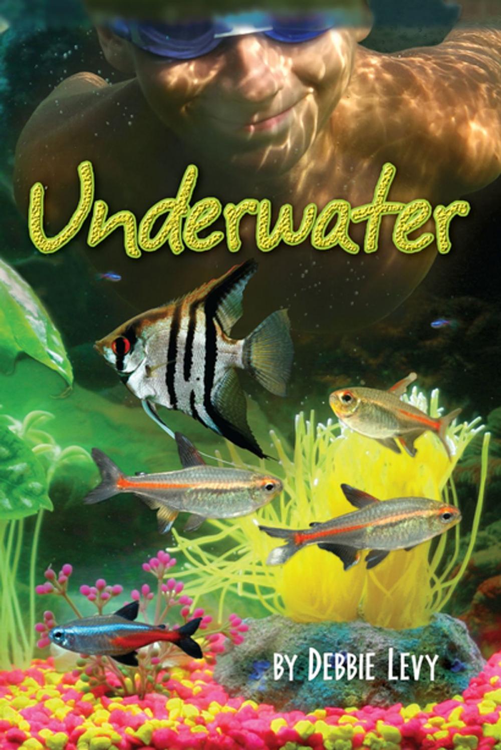 Big bigCover of Underwater