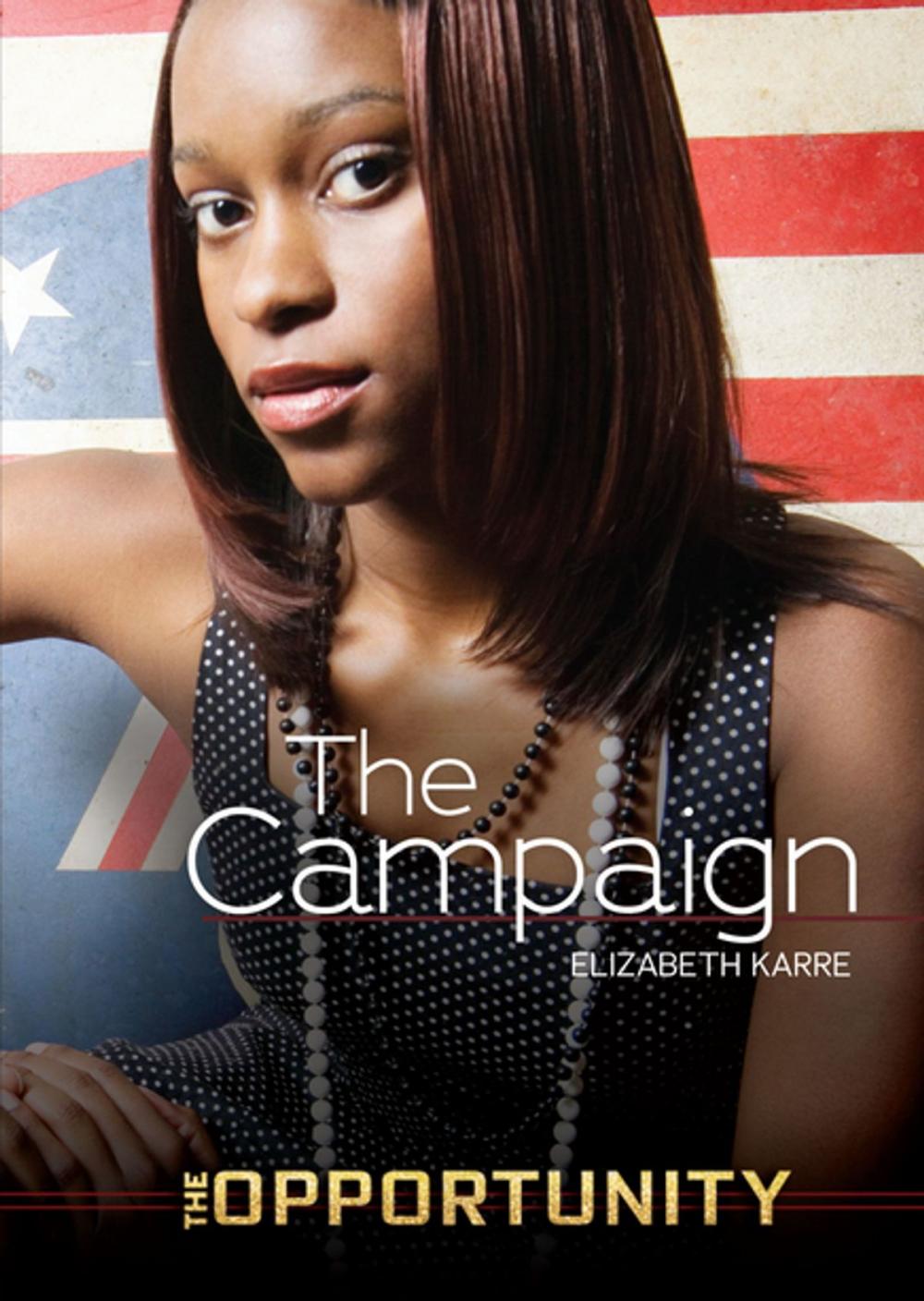 Big bigCover of The Campaign