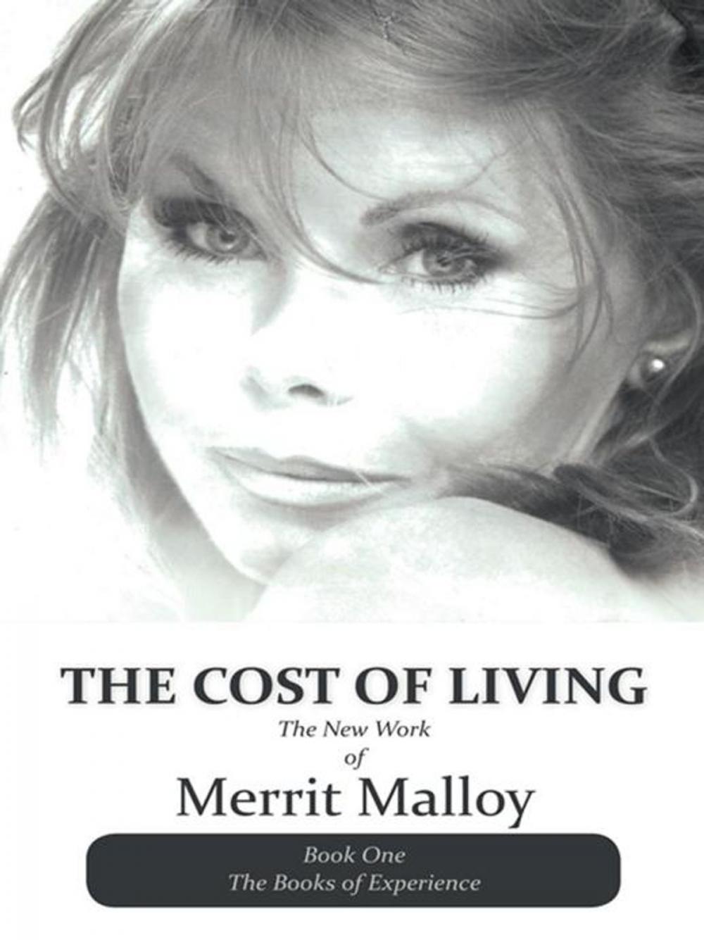 Big bigCover of The Cost of Living