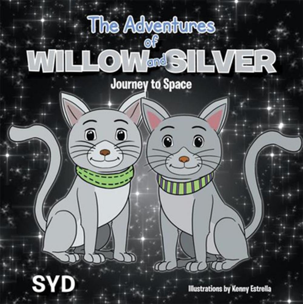 Big bigCover of The Adventures of Willow and Silver