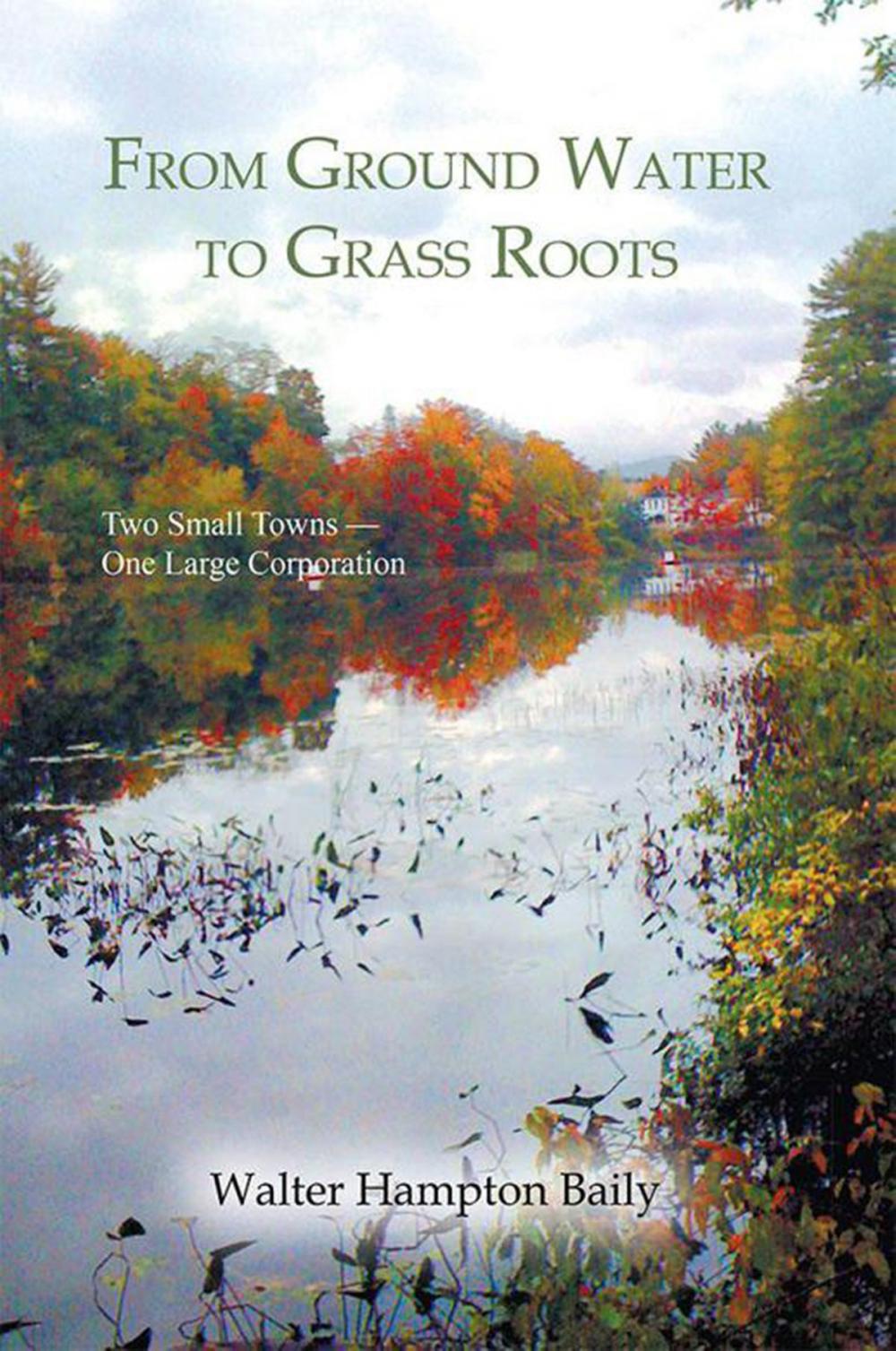 Big bigCover of From Ground Water to Grass Roots