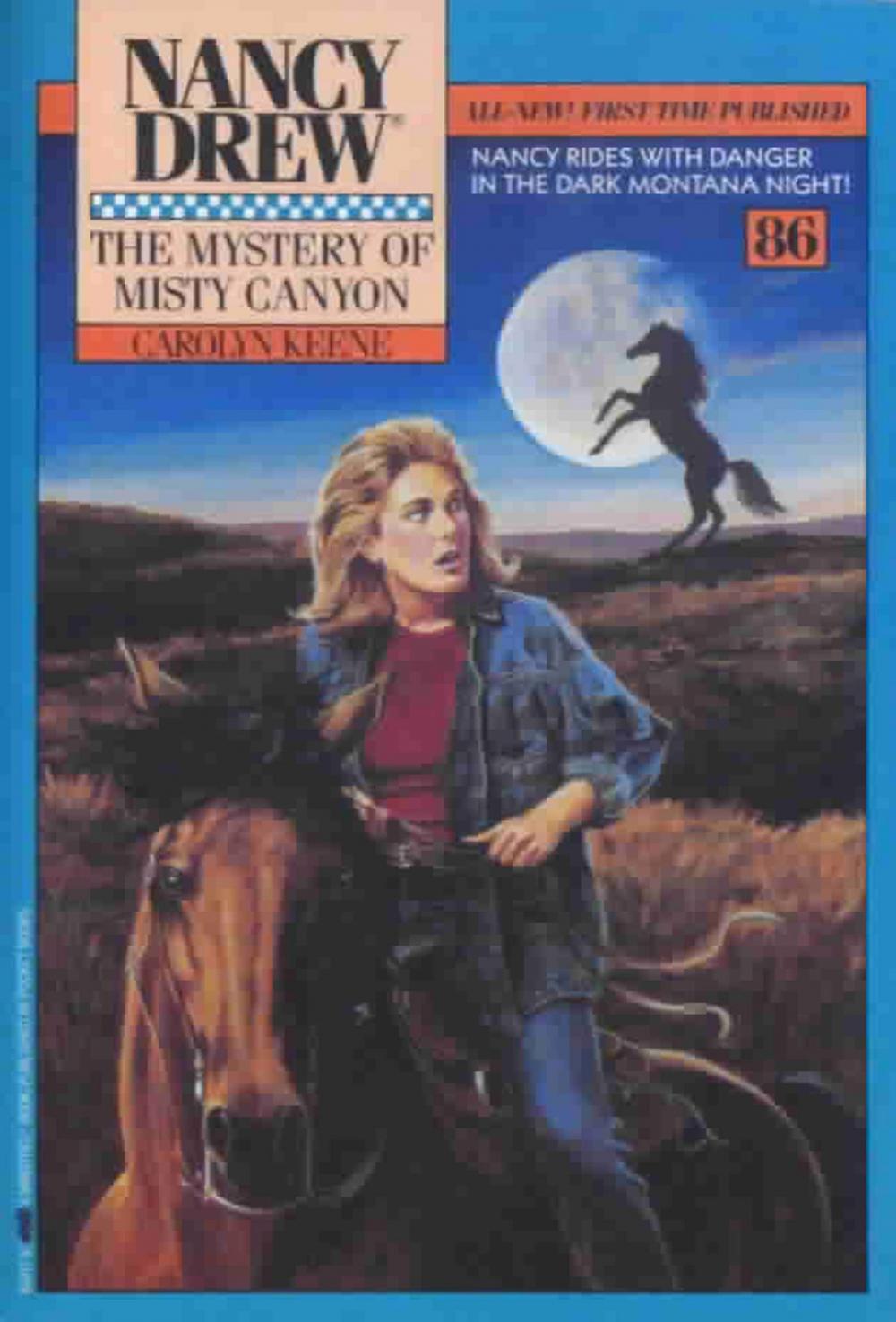 Big bigCover of The Mystery of Misty Canyon