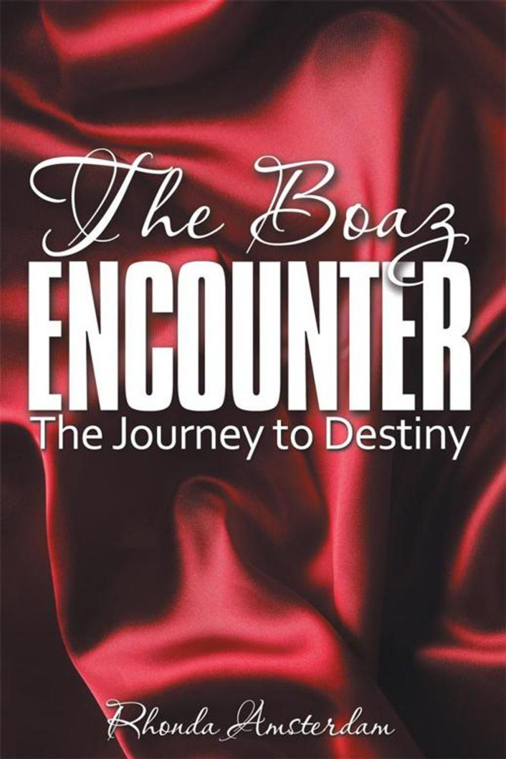 Big bigCover of The Boaz Encounter