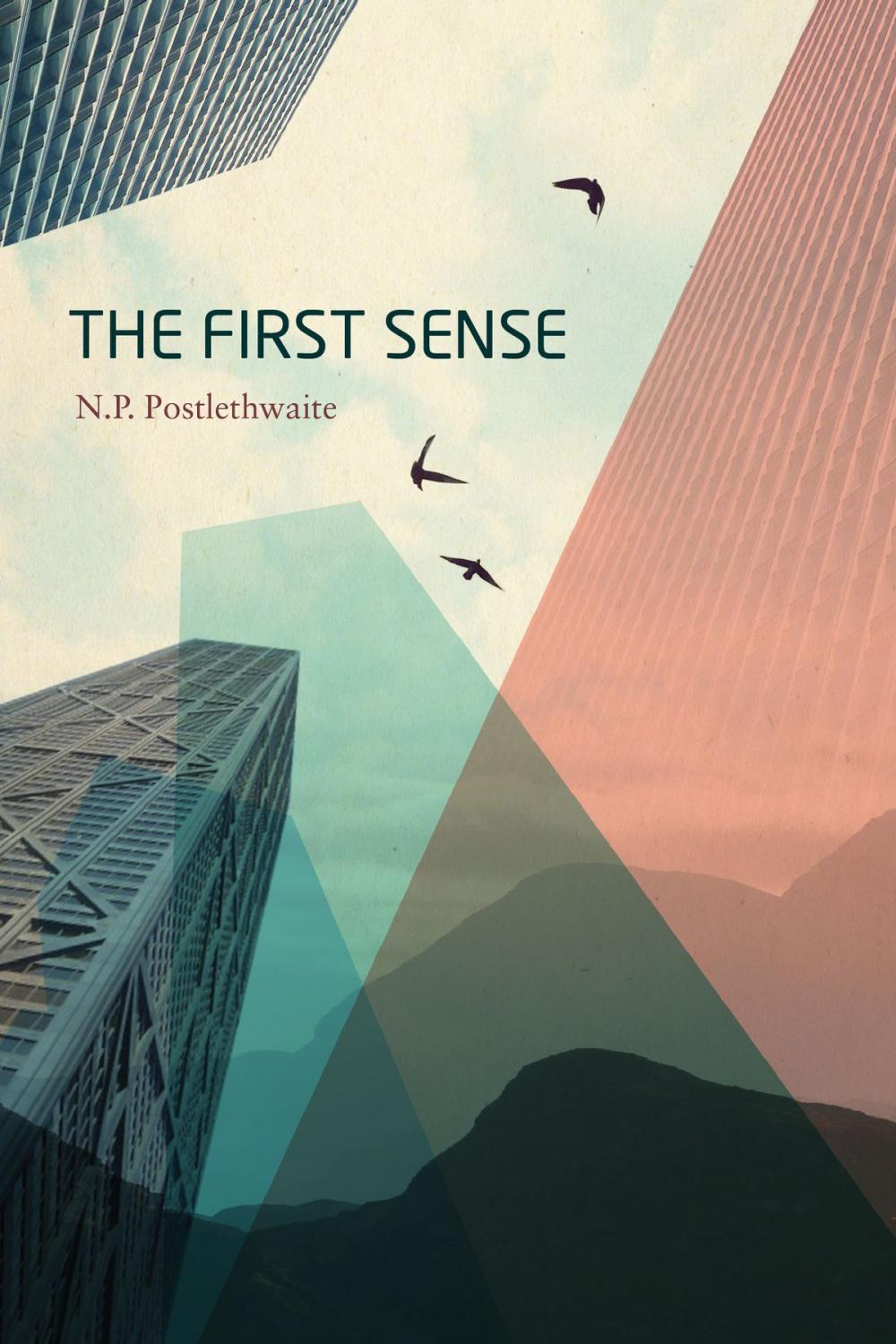 Big bigCover of The First Sense