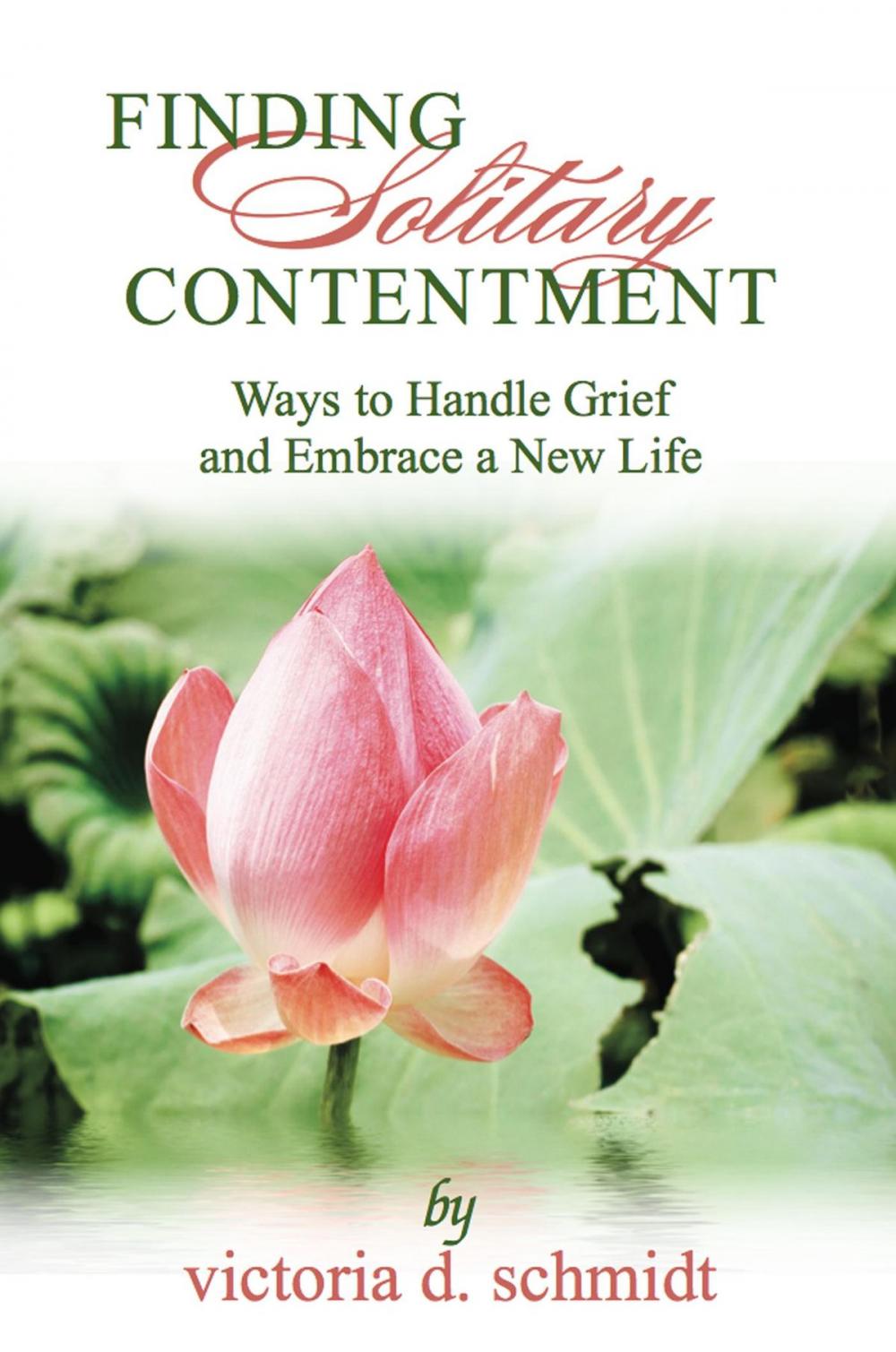 Big bigCover of Finding Solitary Contentment