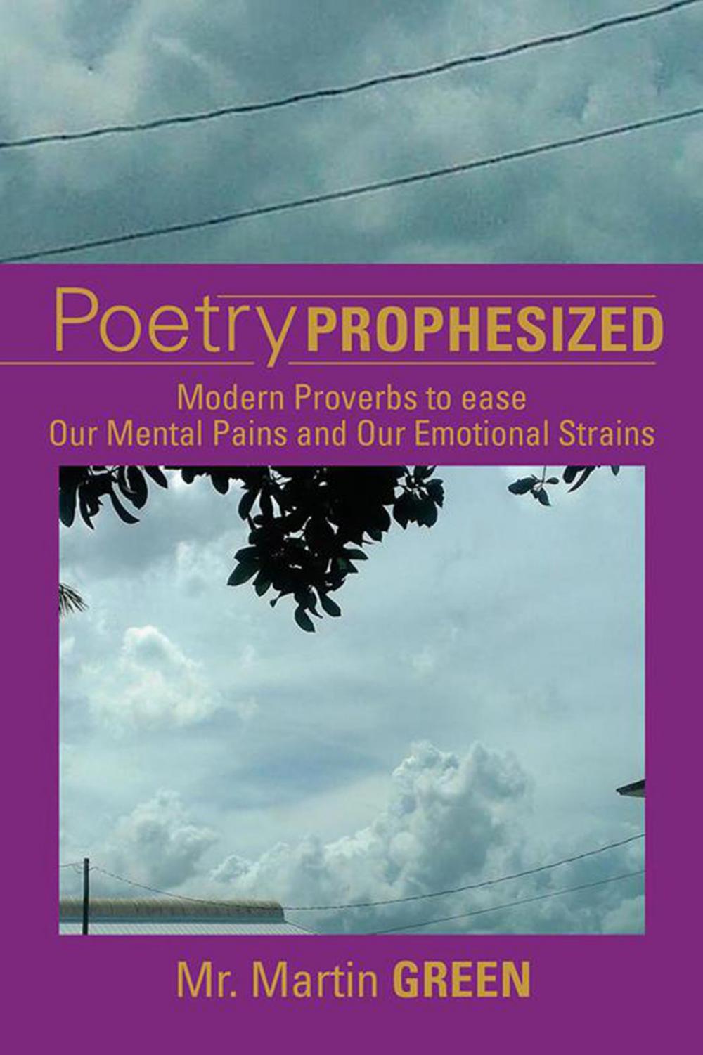 Big bigCover of Poetry Prophesized