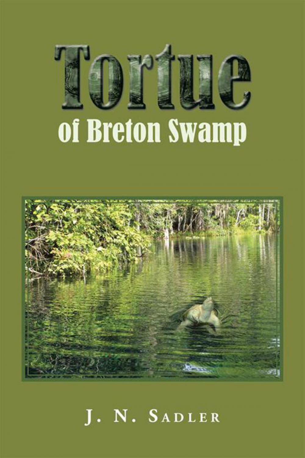 Big bigCover of Tortue of Breton Swamp