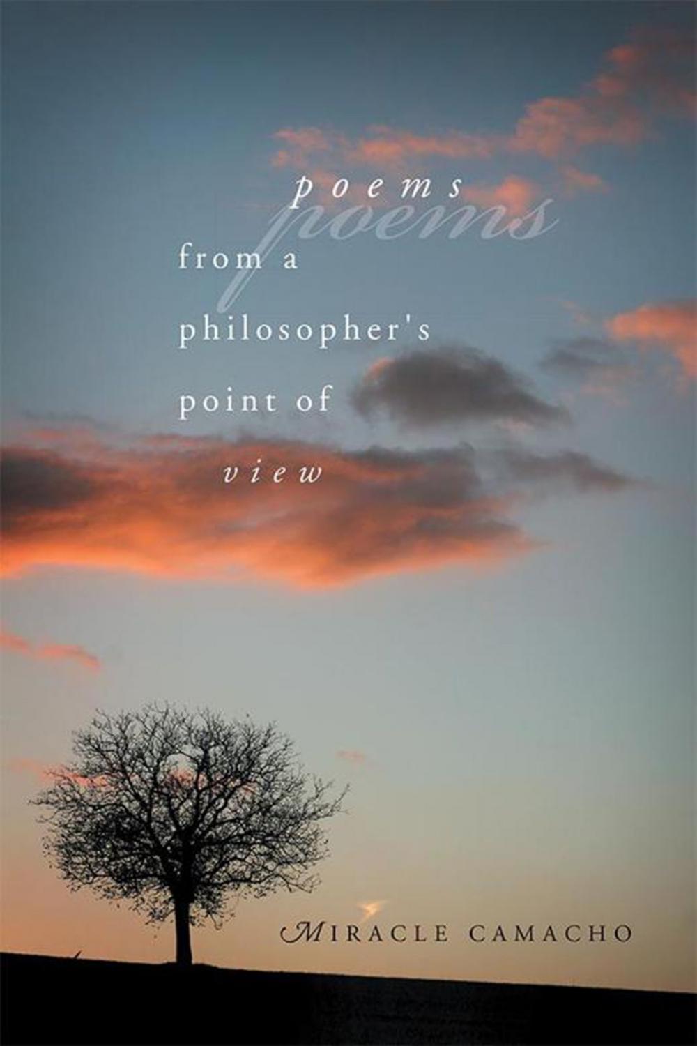 Big bigCover of Poems from a Philosopher's Point of View