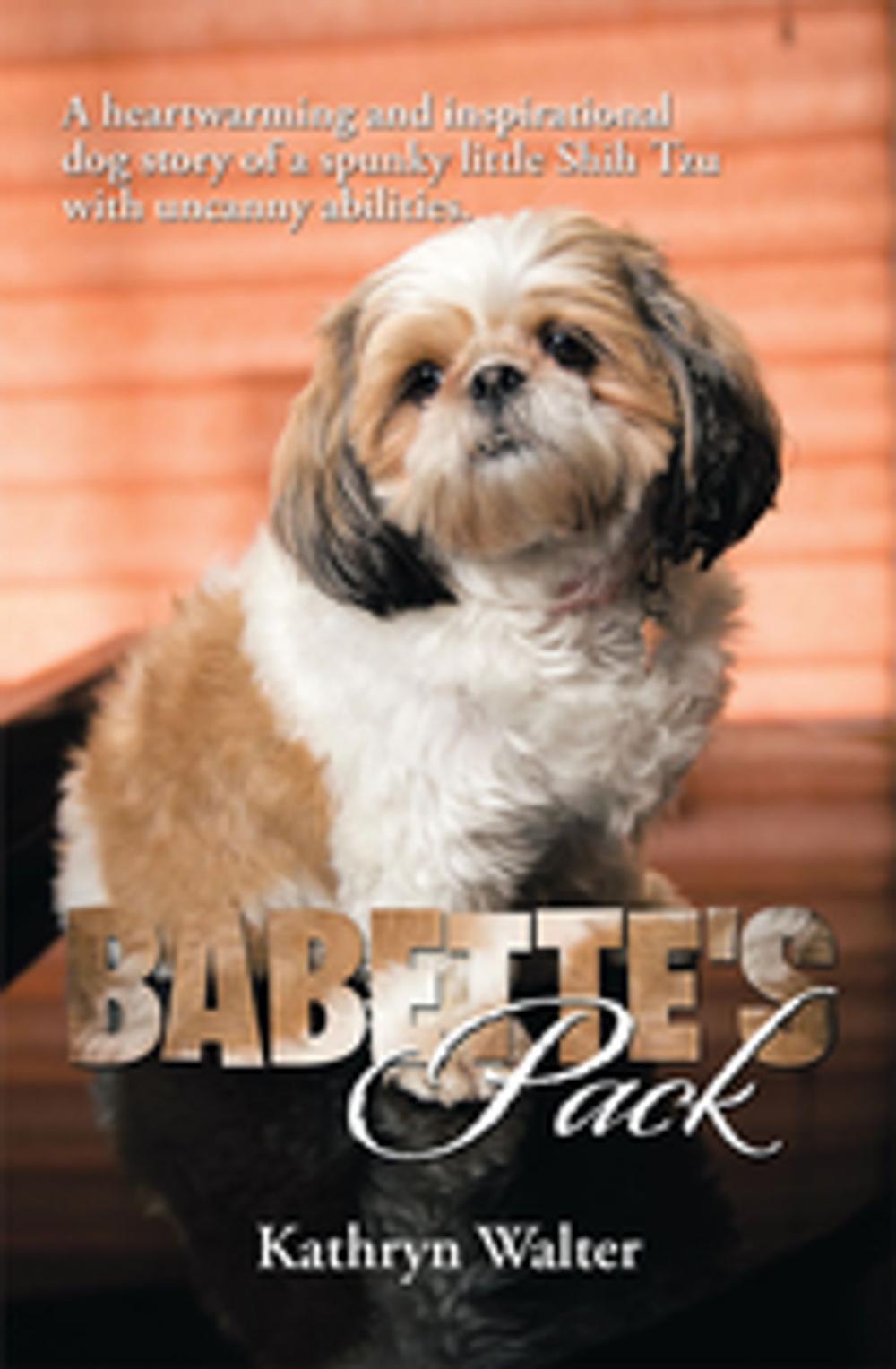 Big bigCover of Babette's Pack