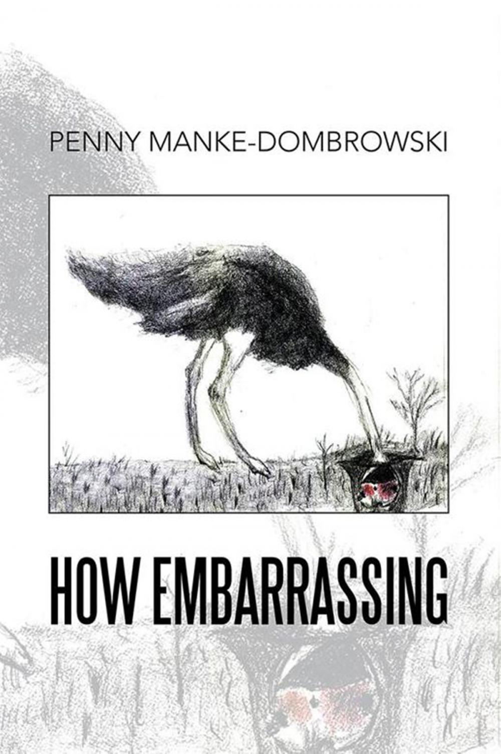 Big bigCover of How Embarrassing