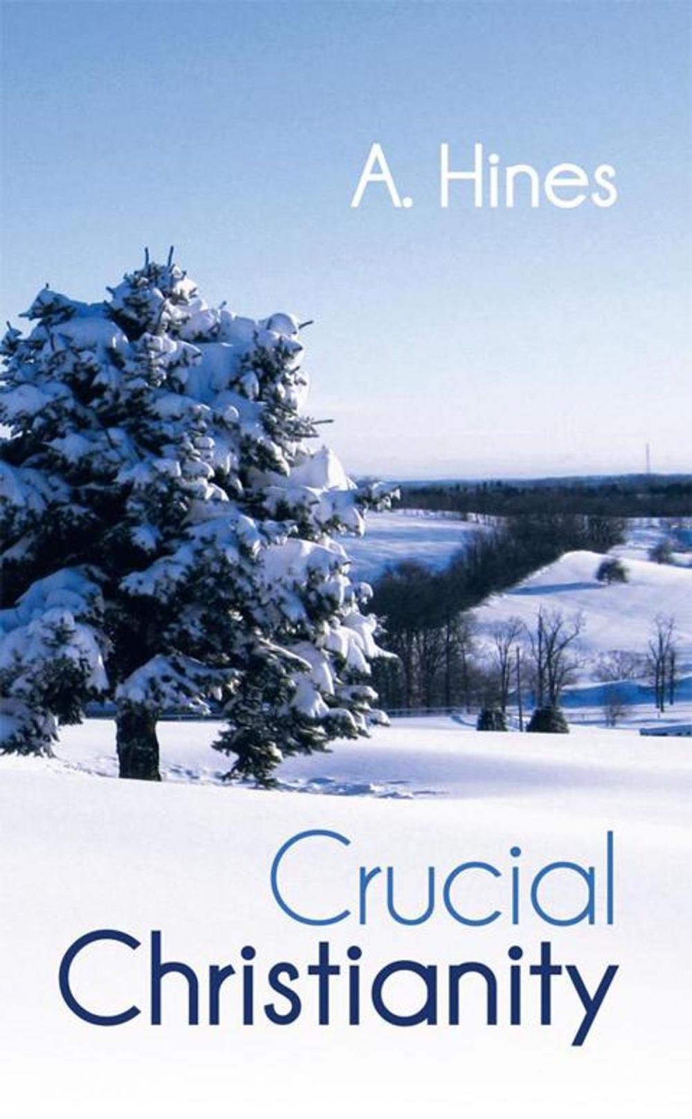 Big bigCover of Crucial Christianity