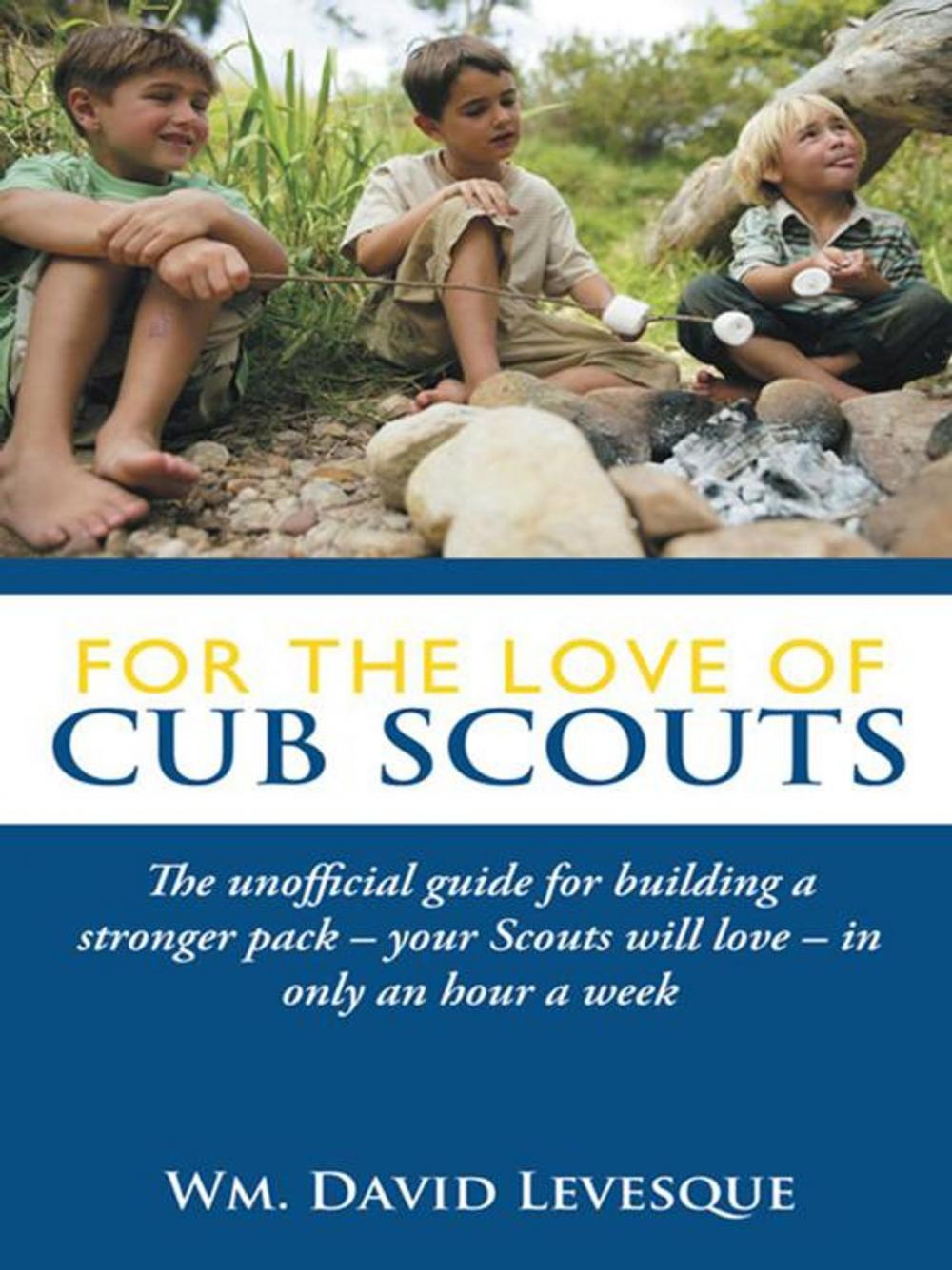 Big bigCover of For the Love of Cub Scouts