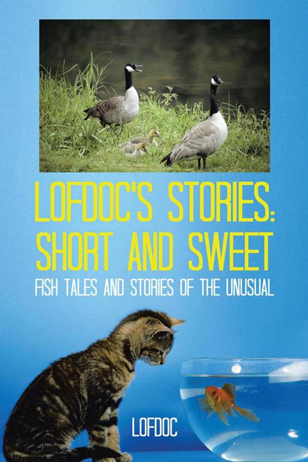 Big bigCover of Lofdoc's Stories: Short and Sweet