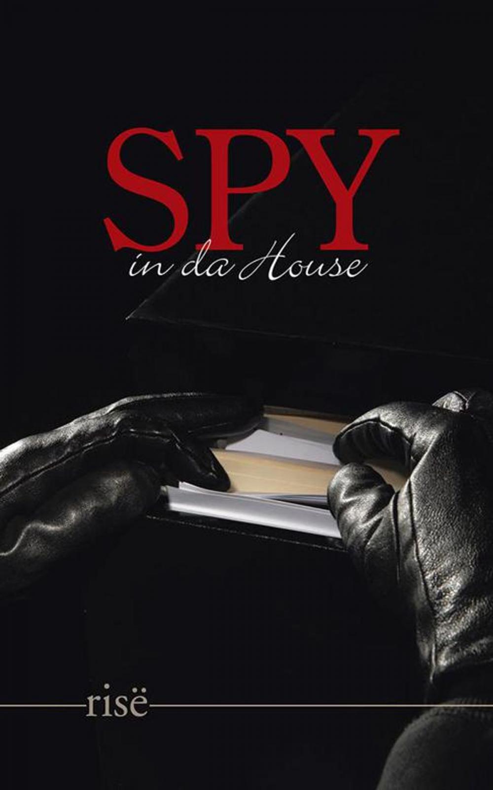 Big bigCover of Spy in Da House