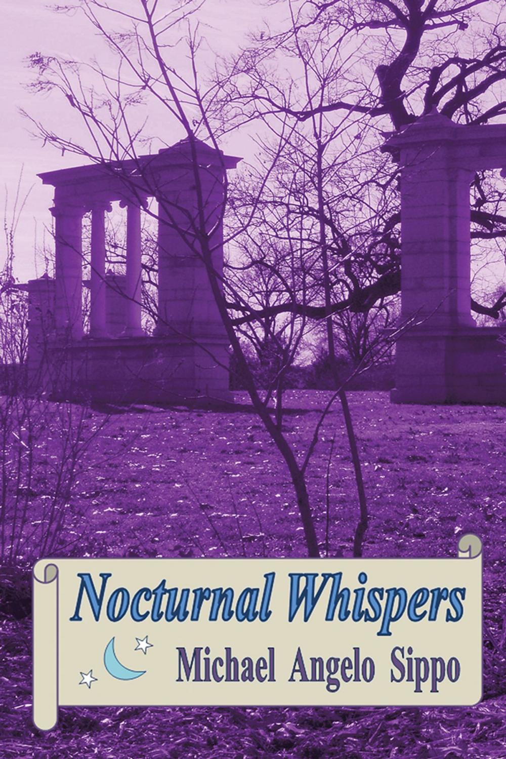 Big bigCover of Nocturnal Whispers